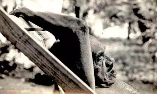 എ​ന്റെ പ​ക്ക​ൽ ശാ​പ​ങ്ങ​ളി​ല്ല, അ​നു​ഗ്ര​ഹ​ങ്ങ​ളേ​യു​ള്ളൂ