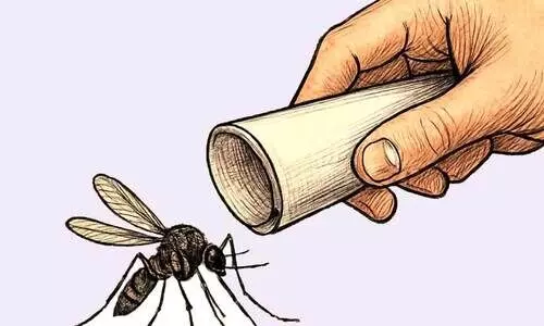 കൊതുകിനെ കൊല്ലാൻ എളുപ്പ വഴികൾ കൊതുകിനെ കൊല്ലാൻ എളുപ്പ വഴികൾ