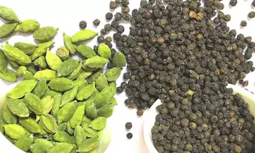 വരവ്‌ കുറഞ്ഞ് കുരുമുളക്‌, പ്രതീക്ഷയിൽ ഏലം കർഷകർ