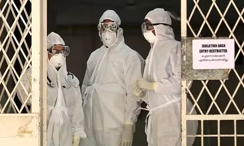 nipah 9789879 nipah 9789879