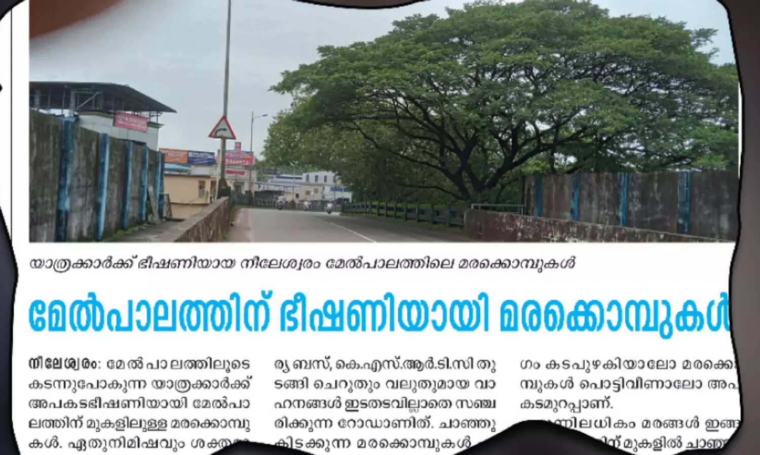 അപകട ഭീ​ഷ​ണി​യാ​യ മ​ര​ക്കൊ​മ്പു​ക​ൾ മു​റി​ച്ചു​മാ​റ്റി