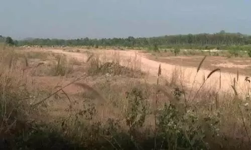 ആറൻമുള വിവാദ ഭൂമിയിലെ ഐ.ടി വകുപ്പ് നീക്കം; വീണ്ടും റിപ്പോർട്ട്​ തേടിയതിൽ ദുരൂഹത