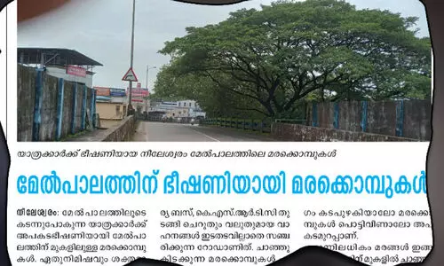 അപകട ഭീ​ഷ​ണി​യാ​യ മ​ര​ക്കൊ​മ്പു​ക​ൾ മു​റി​ച്ചു​മാ​റ്റി