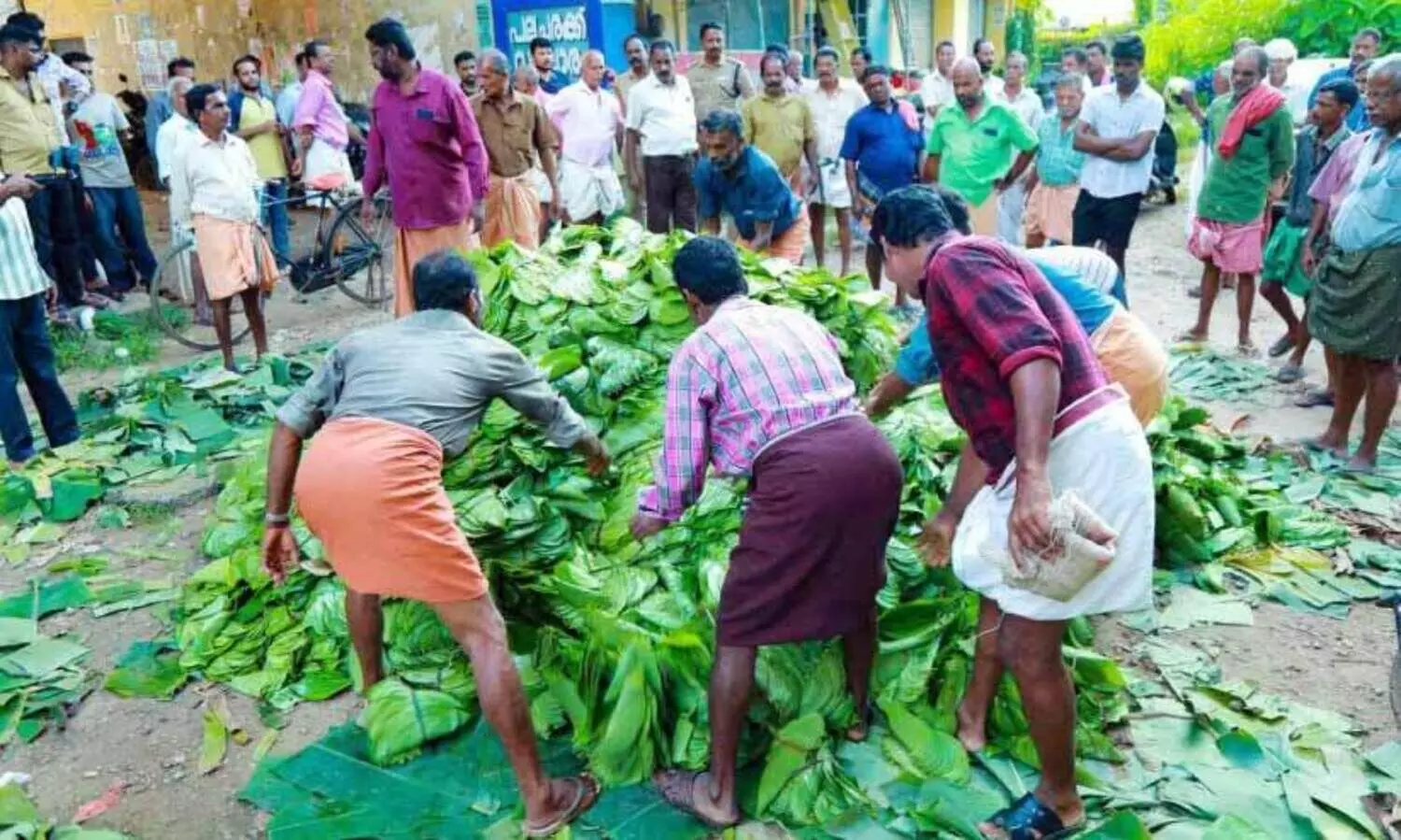വെറ്റിലക്ക് വിലയില്ല; ഡീസൽ ഒഴിച്ച് കർഷകരുടെ പ്രതിഷേധം