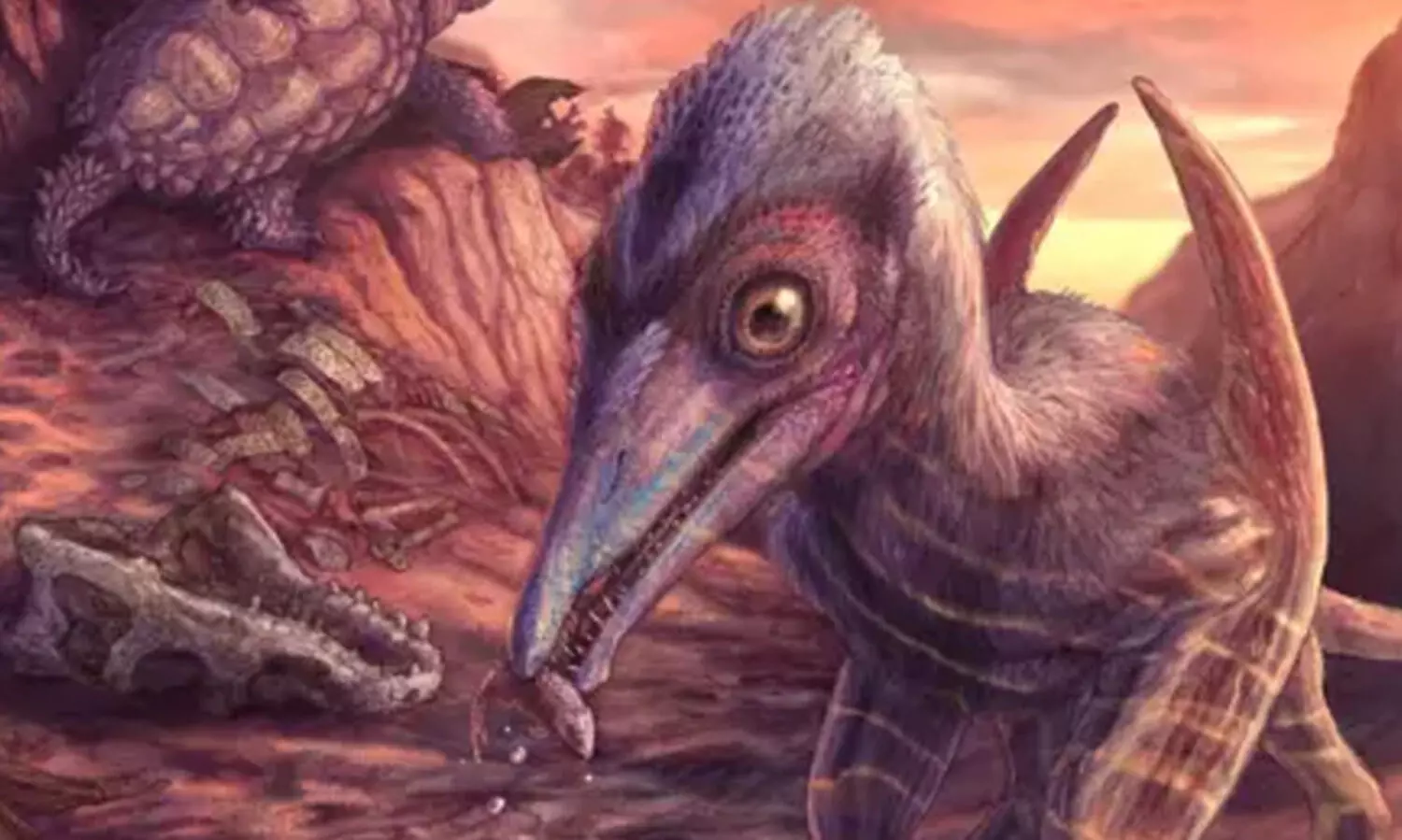 200 ദശലക്ഷം വർഷം പഴക്കമുള്ള ഉരഗ​ത്തിന്റെ അസ്ഥികൾ കണ്ടെത്തി ശാസ്ത്രജ്ഞർ