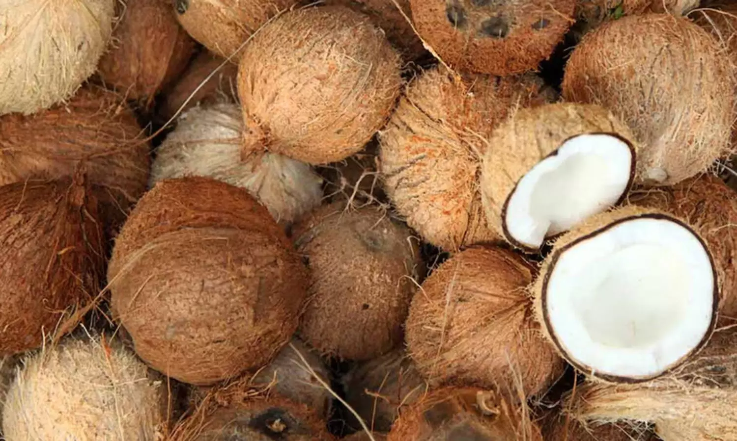 തേങ്ങക്ക്​ വൻവില; ക്ഷേത്ര വഴിപാടുകൾ പ്രതിസന്ധിയിൽ