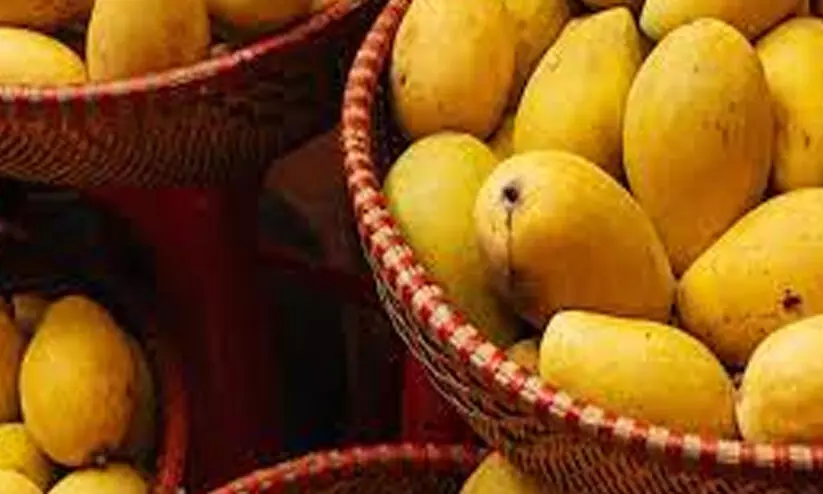 സൂഖ് വാഖിഫിൽ പാകിസ്താനി മാമ്പഴ മേളക്ക് ഒരുങ്ങുന്നു സൂഖ് വാഖിഫിൽ പാകിസ്താനി മാമ്പഴ മേളക്ക് ഒരുങ്ങുന്നു