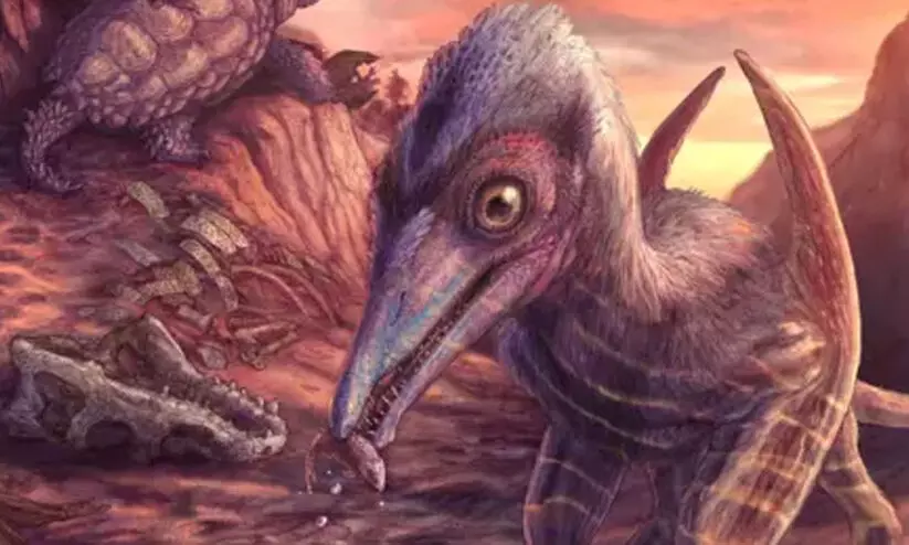 200 ദശലക്ഷം വർഷം പഴക്കമുള്ള ഉരഗ​ത്തിന്റെ അസ്ഥികൾ കണ്ടെത്തി ശാസ്ത്രജ്ഞർ