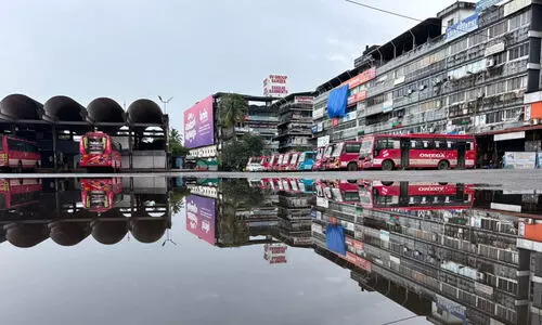 kozhikode bus stand 98798
