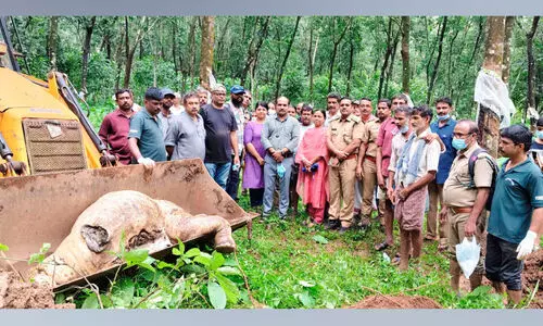 കാട്ടാനക്കുട്ടി ചെരിഞ്ഞത് പാറകളുടെ മുകളിലേക്ക് നെഞ്ചിടിച്ച് വീണെന്ന് സൂചന കാട്ടാനക്കുട്ടി ചെരിഞ്ഞത് പാറകളുടെ മുകളിലേക്ക് നെഞ്ചിടിച്ച് വീണെന്ന് സൂചന