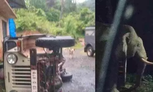 വീ​ട്ടു​മു​റ്റ​ത്ത് നി​ർ​ത്തി​യി​ട്ട ജീ​പ്പ് കാ​ട്ടാ​ന മ​റി​ച്ചി​ട്ടു