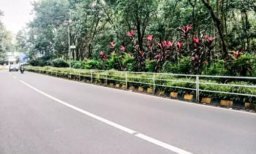 പൂന്തോട്ടമായി കാഞ്ഞിരപ്പള്ളി-ഈരാറ്റുപേട്ട റോഡ്