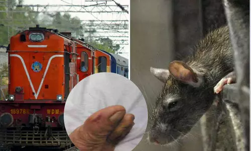 ട്രെയിൻ ബർത്തിൽ ഉറങ്ങുന്നതിനിടെ എലി കടിച്ചു; നിയമനടപടിക്കൊരുങ്ങി യാത്രക്കാരൻ