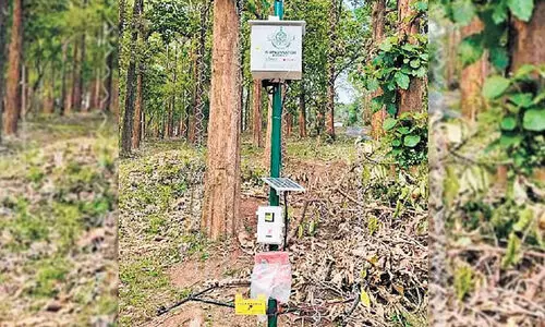 വൈൽഡ്​ വാച്ചിന്​ ‘പൂട്ടിട്ട്​’ വനംവകുപ്പ്​