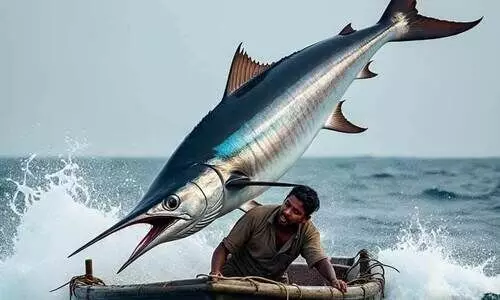 യെറായ നീയെവിടെ.....  അപകടകാരിയായ മാർലിൻ മത്സ്യവുമാ‍യി ഏറ്റുമുട്ടി കാണാമറയത്ത് പോയ യുവാവിനെ കാത്ത് ഒരു ഗ്രാമം