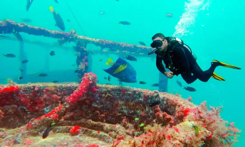 അന്താരാഷ്ട്ര ഡൈവിങ് ഫെസ്റ്റിവൽ ആഗസ്റ്റ് 25 മുതൽ മുസന്ദത്ത്