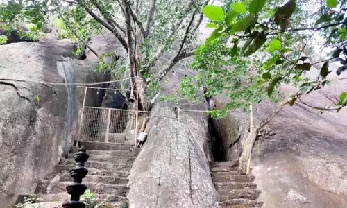 അമ്പൂരിയിലെ ടൂറിസം പദ്ധതികൾ   യാഥാർഥ്യമാകുന്നു; വി​വി​ധ പ​ദ്ധ​തി​ക​ള്‍ക്കാ​യി അനുവദിച്ചത് 7 കോടി രൂപ