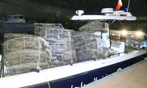 Some of the seized gargoor