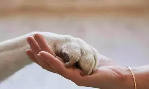 ജന്തുജന്യരോഗങ്ങൾക്ക്​ ബോധവത്​കരണം