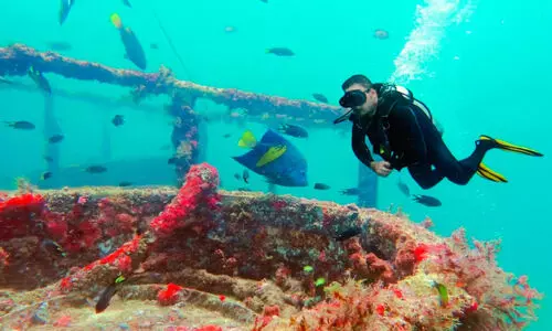 അന്താരാഷ്ട്ര ഡൈവിങ് ഫെസ്റ്റിവൽ ആഗസ്റ്റ് 25 മുതൽ മുസന്ദത്ത്