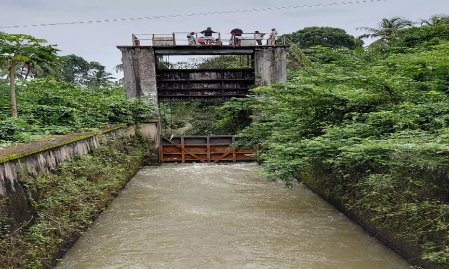 വി​ദ്യാ​ർ​ഥി​ ഒ​ഴു​ക്കി​ൽ കാ​ണാ​താ​യ സം​ഭ​വം; ഇ​ന്നു​മു​ത​ൽ പു​ഴ​യു​ടെ അ​ടി​ത്ത​ട്ടി​ൽ തെ​ര​ച്ചി​ൽ ന​ട​ത്തും