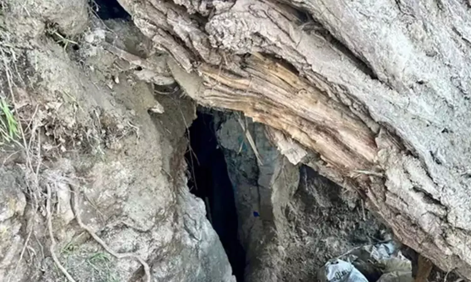 റഷ്യൻ യുവതിയും രണ്ടു പെൺ മക്കളും കർണാടകയിലെ മലമുകളിലെ ഗുഹയിൽ കഴിഞ്ഞതായി കണ്ടെത്തി