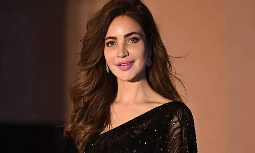 ഫ്ലാറ്റിൽ മരിച്ച നിലയിൽ കണ്ടെത്തിയ നടി ഹുമൈറ അലി അസ്ഗറിന്‍റെ മരണം സംഭവിച്ചത് ഒൻപത് മാസങ്ങൾക്ക് മുൻപെന്ന് നിഗമനം