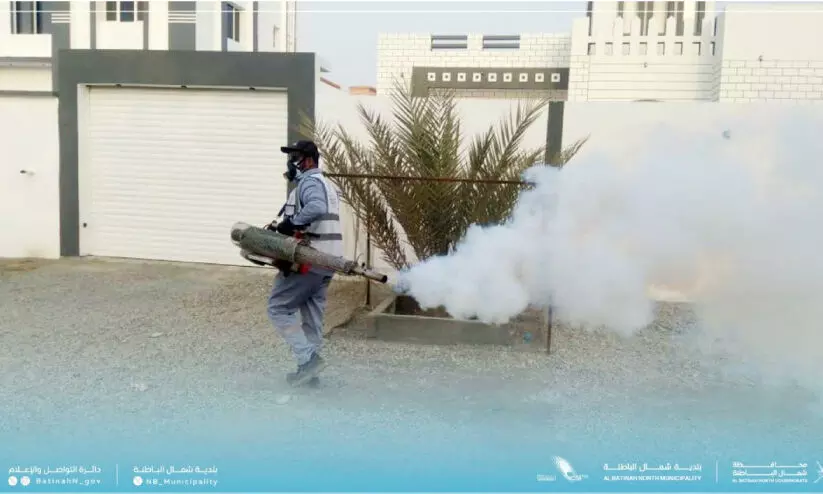 കൊതുകിനെ തുരത്തൽ കാമ്പയിനുമായി സുവൈഖ് മുനിസിപ്പാലിറ്റി കൊതുകിനെ തുരത്തൽ കാമ്പയിനുമായി സുവൈഖ് മുനിസിപ്പാലിറ്റി