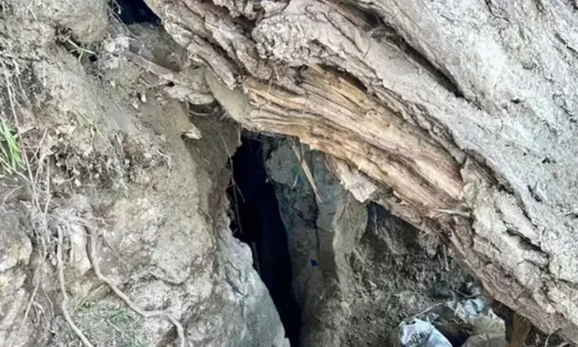 റഷ്യൻ യുവതിയും രണ്ടു പെൺ മക്കളും കർണാടകയിലെ മലമുകളിലെ ഗുഹയിൽ കഴിഞ്ഞതായി കണ്ടെത്തി