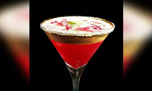 Pomegranate Lemon Spritzer