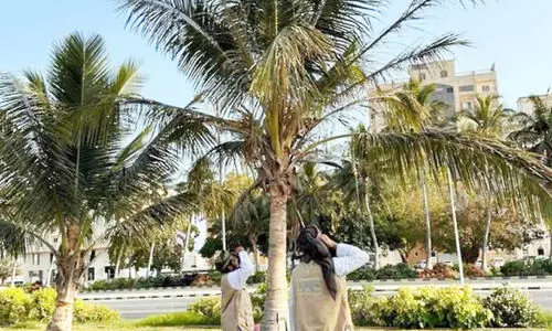 അ​ധി​നി​വേ​ശ പ​ക്ഷി​ക​ളെ തു​ര​ത്താ​നു​ള്ള കാ​മ്പ​യി​ൻ തു​ട​രു​ന്നു; ദോഫാറിൽനിന്ന് ഇല്ലാതാക്കിയത് 10,449  മൈനക​െളയും കാക്കകളെയും