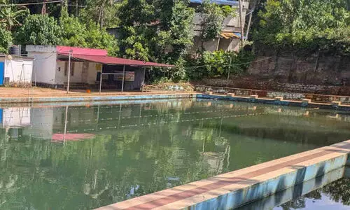 Nedumangad swimming pool Accident