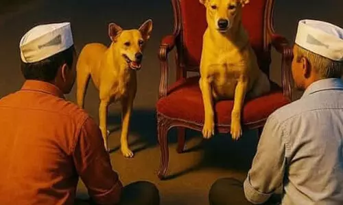 ഭരണാധികാരികളുടെ നിസ്സംഗത തെരുവുനായകളോട് പറഞ്ഞു നോക്കാം;  തെരുവുനായ പ്രതിനിധികളോട് സംസാരിക്കാൻ എ.എ.പി കൊല്ലം ജില്ല കമ്മിറ്റി