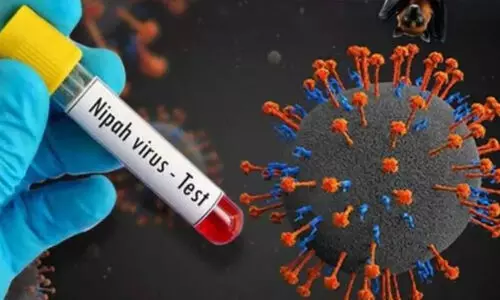 വീണ്ടും നിപ മരണം; മരിച്ച മണ്ണാർക്കാട് സ്വദേശിക്ക് രോഗം സ്ഥിരീകരിച്ചു