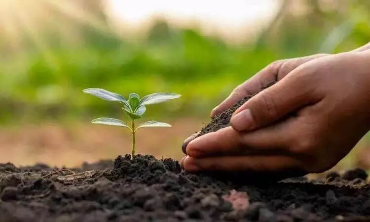 കാലൂന്നിയത്​  സമൃദ്ധിയുടെ തളിരുകളിലേക്ക്