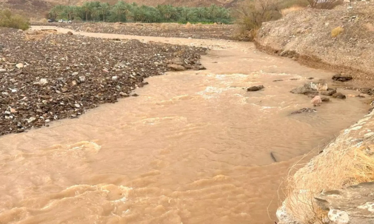 വടക്കൻ ശർഖിയ ഗവർണറേറ്റിൽ ശക്തമായ മഴ