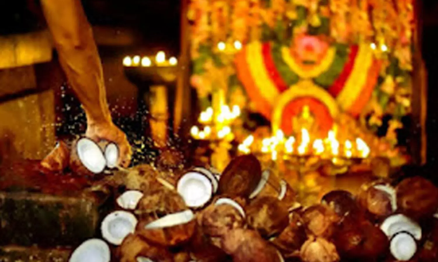 ശാന്തിക്കാർ നാളികേരമെടുക്കരുത്; നാളികേരമുറി അവകാശമല്ലെന്ന ഉത്തരവ് ശരിവെച്ച് സർക്കാർ