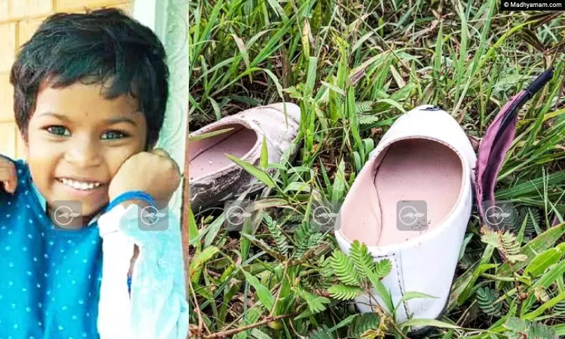 ഐസ്ക്രീം വേണമെന്ന് വാശിപിടിച്ചു; ആഗ്രഹം ബാക്കിയാക്കി കുഞ്ഞു എമി യാത്രയായി