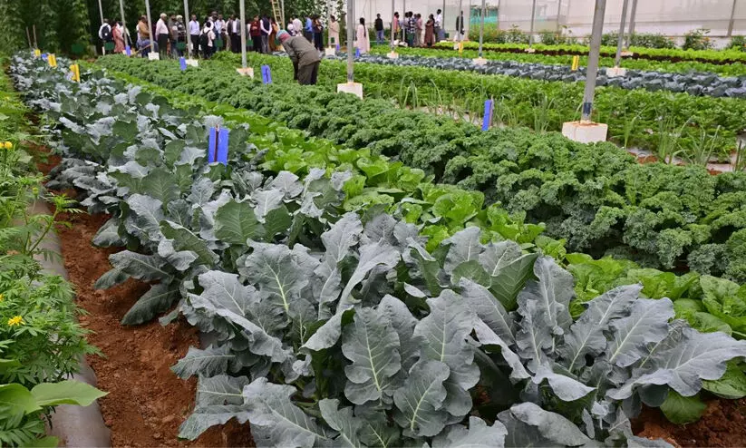 ജി.​കെ.​വി.​കെ കാ​മ്പ​സി​ലെ കാ​ര്‍ഷി​ക​മേ​ള ഇ​ന്ന് സ​മാ​പി​ക്കും