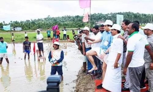 മ​ഡ് ഫെ​സ്റ്റ് സീ​സ​ണ്‍-3​ന് തു​ട​ക്കം