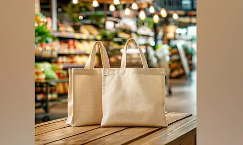 പരിസ്ഥിതി സൗഹൃദബാഗുകൾ സൗജന്യമാക്കണം -മന്ത്രാലയം