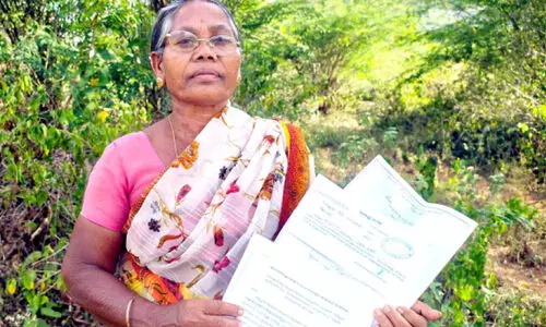 ‘‘ഭൂമി വിഷയത്തിൽ നടപടിയില്ലെങ്കിൽ മരണമല്ലാതെ മറ്റു വഴികളില്ല’’; കലക്ടർക്ക് മുന്നിൽ പരാതിയുമായി ആദിവാസി വയോധിക