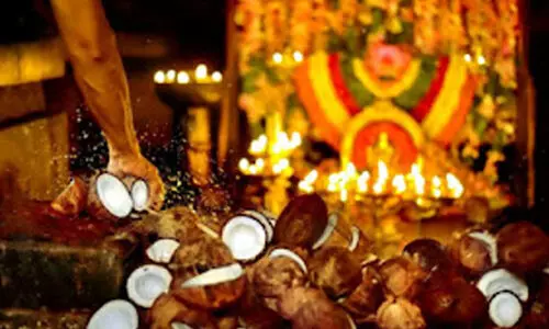 ശാന്തിക്കാർ നാളികേരമെടുക്കരുത്; നാളികേരമുറി അവകാശമല്ലെന്ന ഉത്തരവ് ശരിവെച്ച് സർക്കാർ