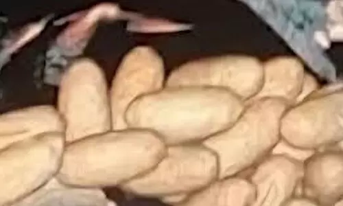 കവർ പൊട്ടിയാൽ മരണം! നെടുമ്പാശ്ശേരിയിൽ വിദേശ ദമ്പതികൾ വിഴുങ്ങിയ മയക്കുമരുന്ന് പൂർണമായി പുറത്തെടുക്കാനായില്ല