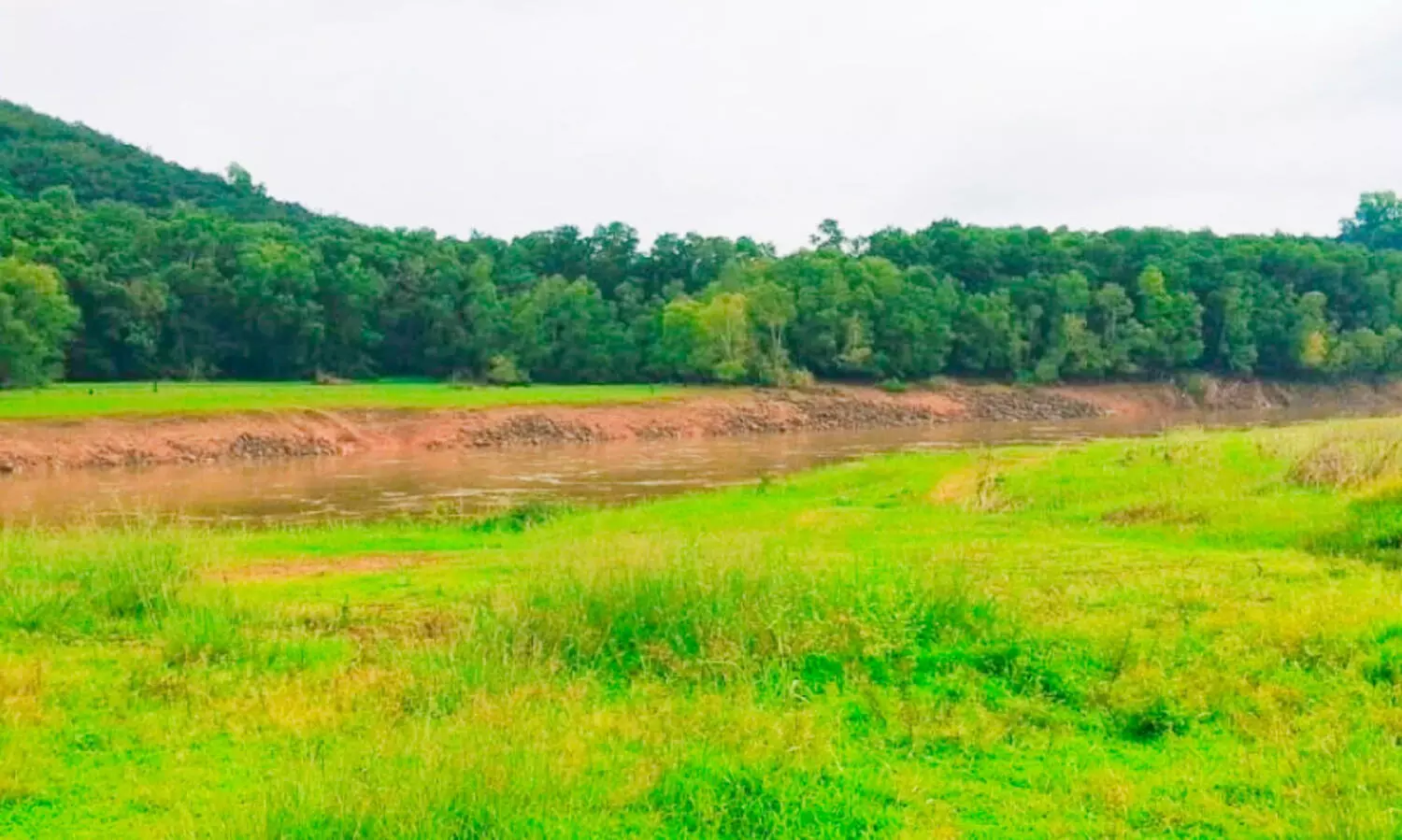 ജലസേചന വകുപ്പ് കനിയണം; വികസനം കാത്ത് എടക്കാനം റിവർ വ്യൂ പോയന്റ്