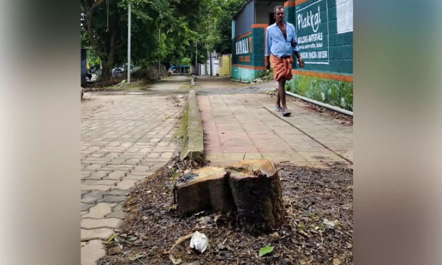 സ്വകാര്യ വ്യക്തിയുടെ മതിലിലെ പരസ്യം കാണാൻ മരം മുറിച്ച് പൊതുമരാമത്ത് വകുപ്പ്