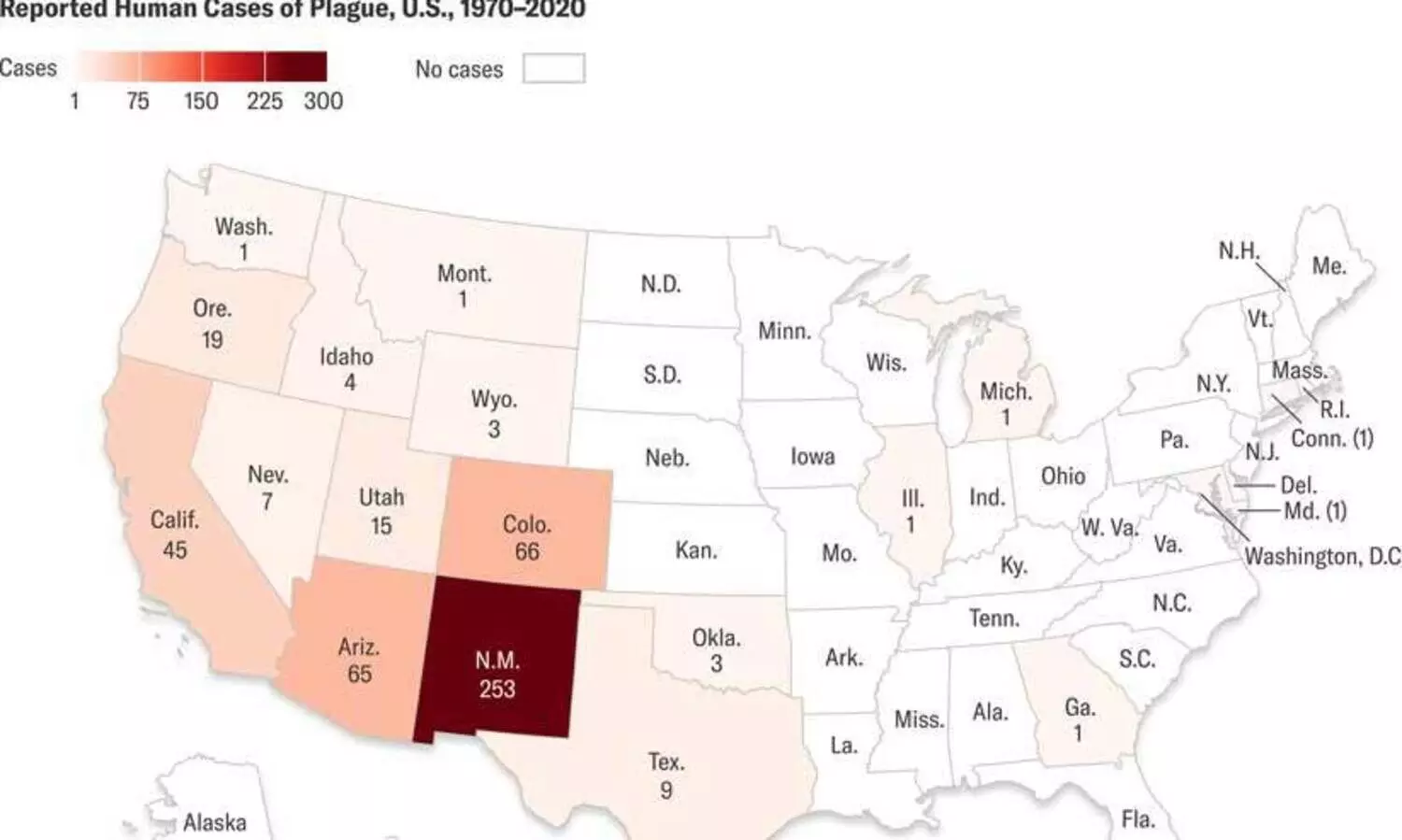 അമേരിക്കയിൽ പ്ലേഗ് മരണം; 2007നു ശേഷം റിപ്പോർട്ട് ചെയ്യപ്പെട്ട ആദ്യ ന്യൂമോണിക് പ്ലേഗ്