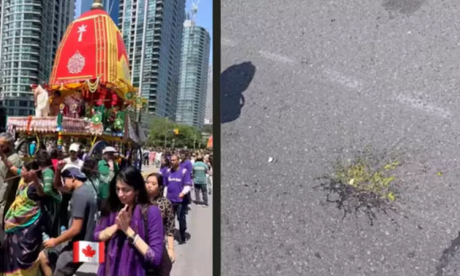 കാനഡയിൽ രഥയാത്രക്കു നേരെ ചീമുട്ടയേറ്; ദൃശ്യം പുറത്തുവന്നത് ഇൻസ്റ്റഗ്രാം വിഡിയോയിലൂടെ