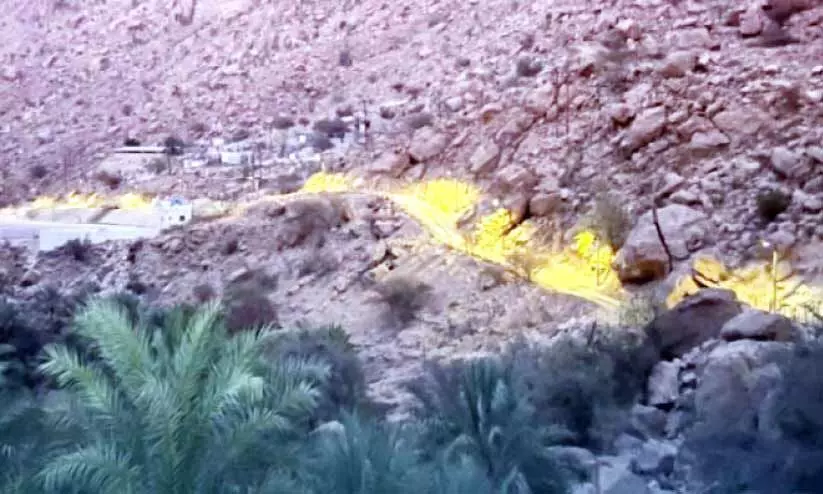 അംഖ് അൽ റബാഖിൽ സൗരോർജ വിളക്കുകൾ സ്ഥാപിച്ചു