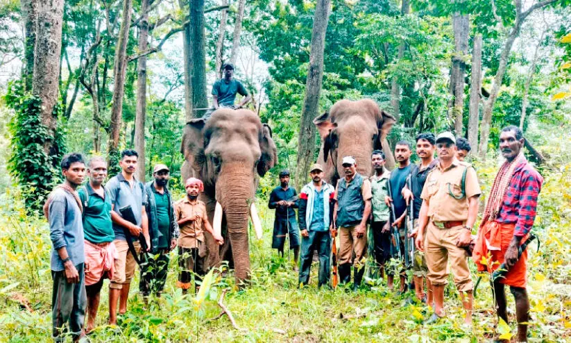കാ​ട്ടാ​ന ശ​ല്യം; പൊ​റു​തി​മു​ട്ടി ചു​ണ്ടേ​ൽ ആ​ന​പ്പാ​റ